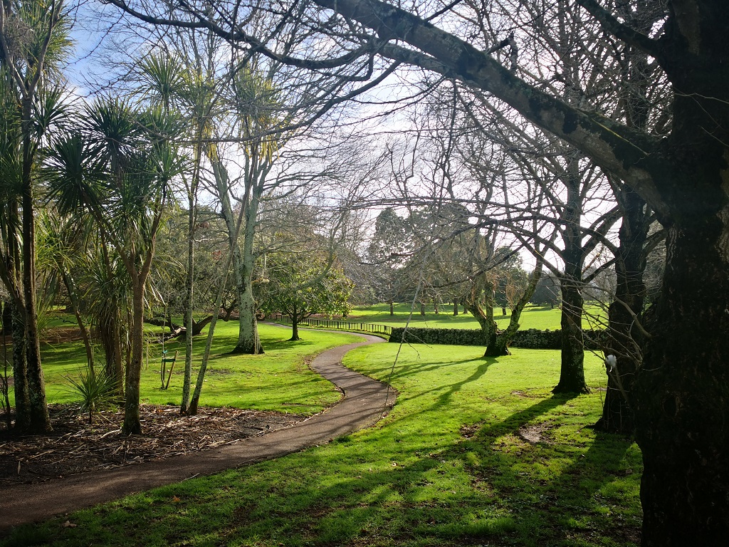 walking path amongst lush green trees at park