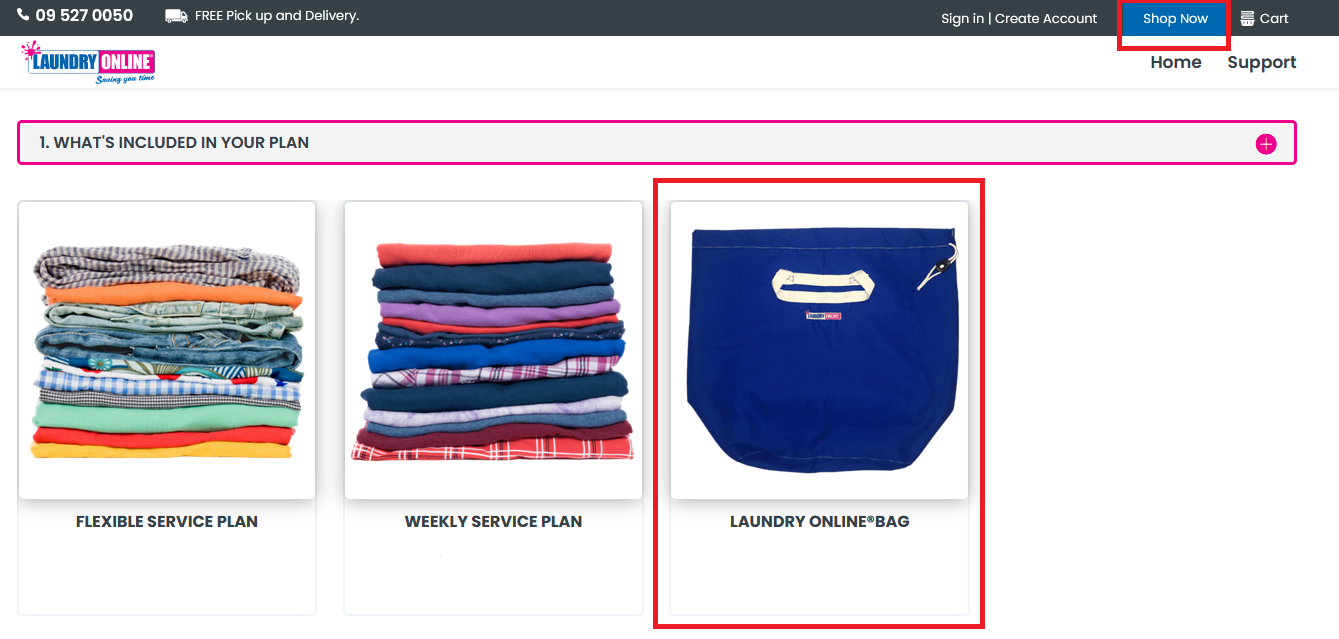 Screen image showing shop page laundry online bag